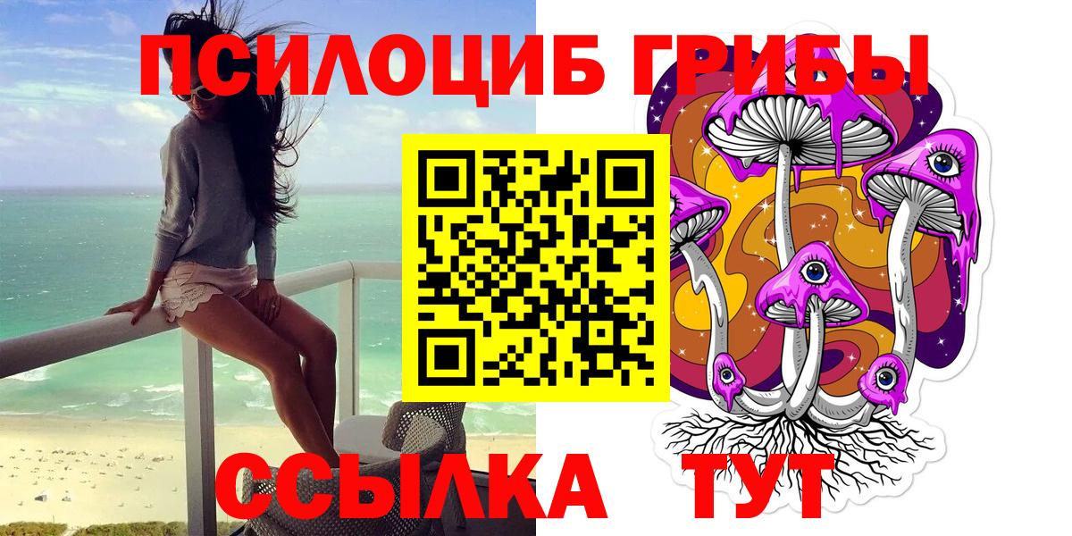 Галлюциногенные грибы Psilocybine cubensis Бийск