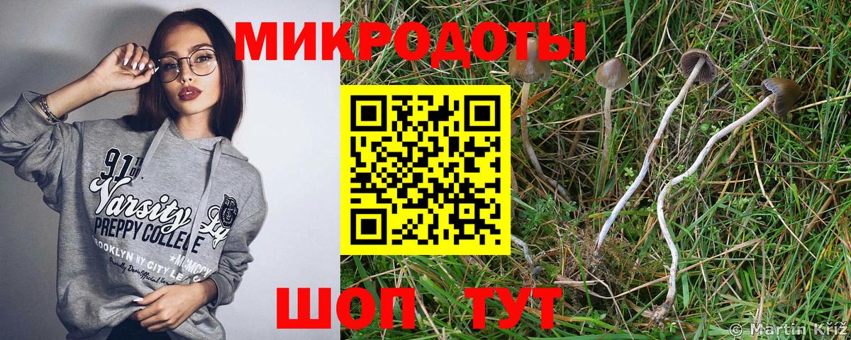 Псилоцибиновые грибы мицелий  Вход с VPN  Галлюциногенные грибы ЛСД  Бийск 