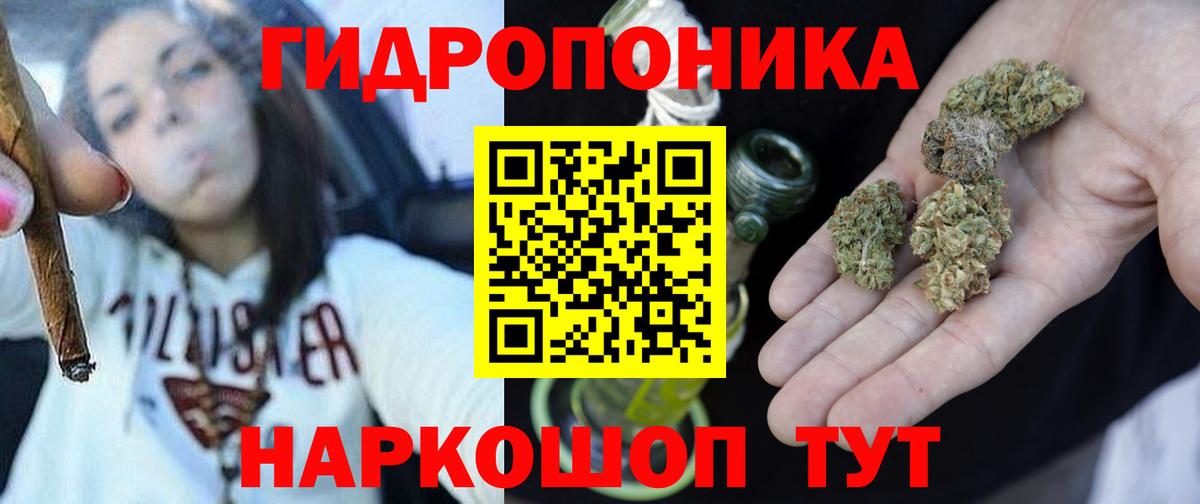 Бошки марихуана Amnesia Бийск